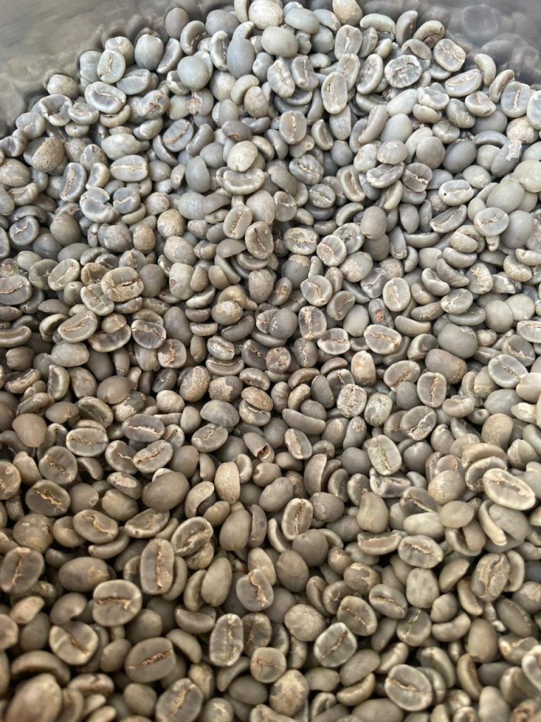 Green Bean Arabica Karo Green Bean Arabika Karo